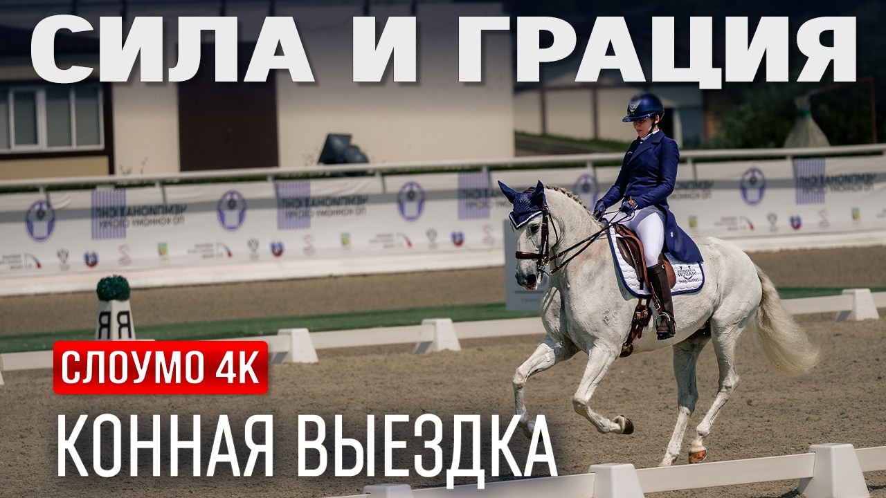 Выездка — Maxima Park | соревнования по выездке | лошади видео, конный спорт
