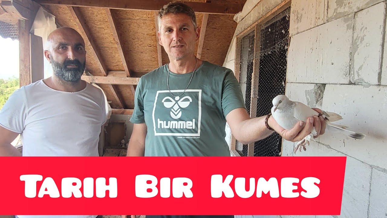 İzmitte  Kırılmamış Sarıkır  Soyarı Bu Adamda  Tarihin  İzinde Rastlanan Ender  Türler..