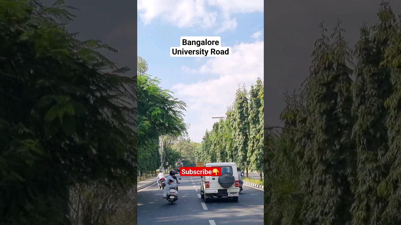 The Beautiful Bangalore University #shorts #trendingshorts #college #bangalore
