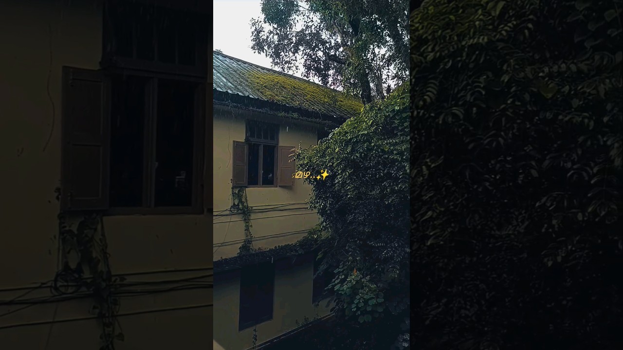 sd college alappuzha🦋✨ #rain#shortfeed #youtubeshorts