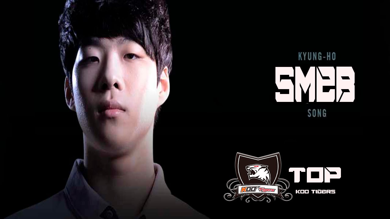 SMEB Montage 2015