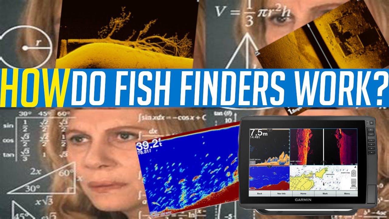 How Do Fish Finders Work? - The BASICS
