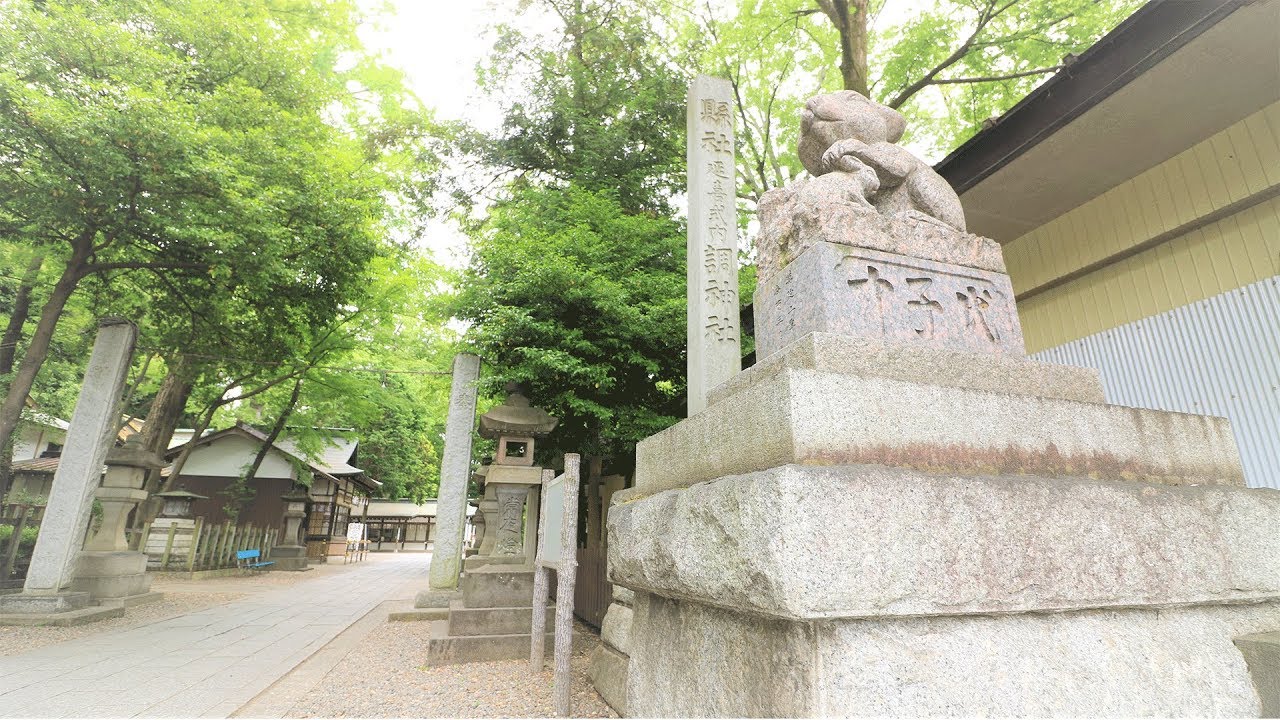 【珍しい神社】調神社の狛ウサギが可愛かった🐰【トランプTV】