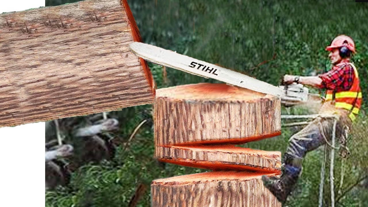 Amazing Epic Log Splitting Showdown: Conquer the Wood with Our Mighty Splitter! #woodworking