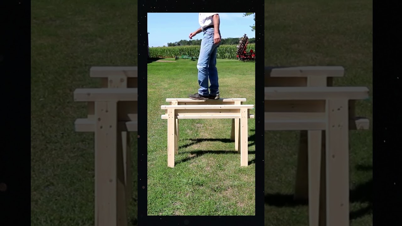 Saw Horse Test - Will It Hold            #woodworking  #sawhorse #project