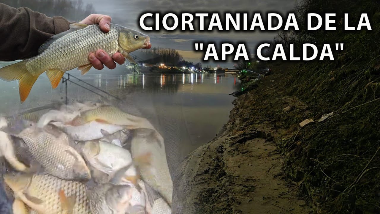 ZECI DE CIORTANI DUPA DEZGHET