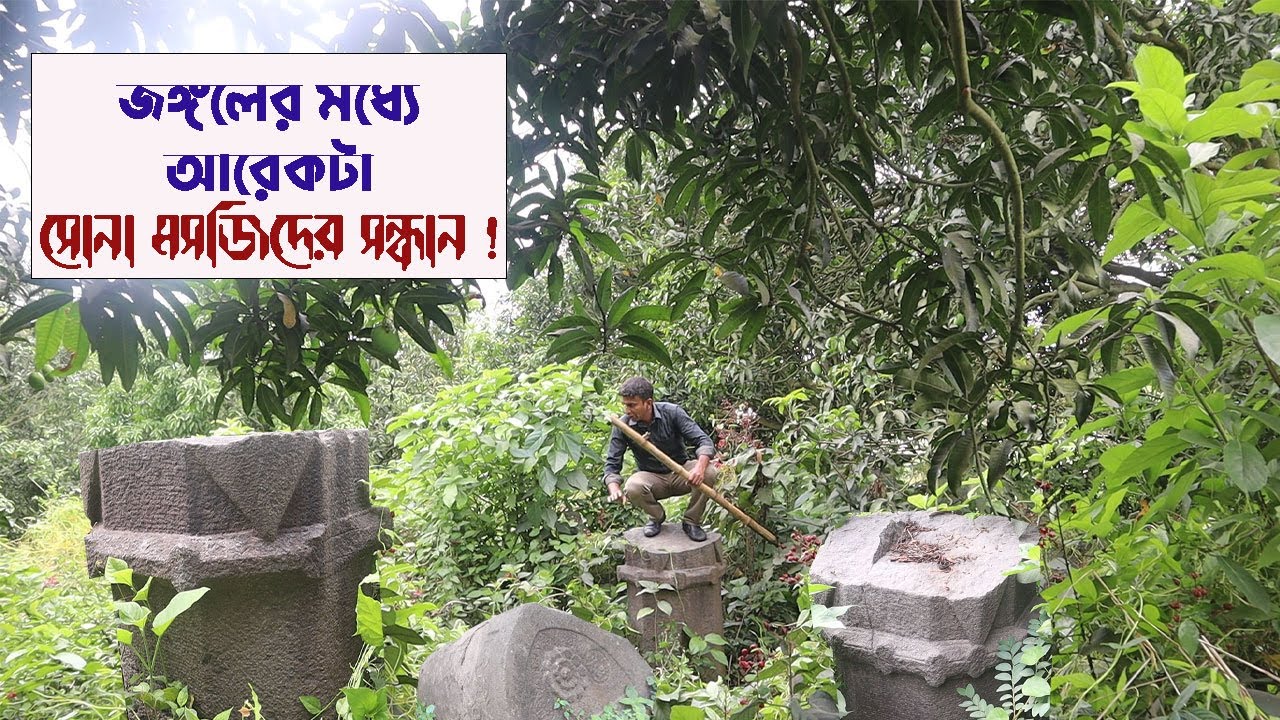 জঙ্গলের মধ্যে সুলতানী আমলের অমূল্য সম্পদের সন্ধান !!