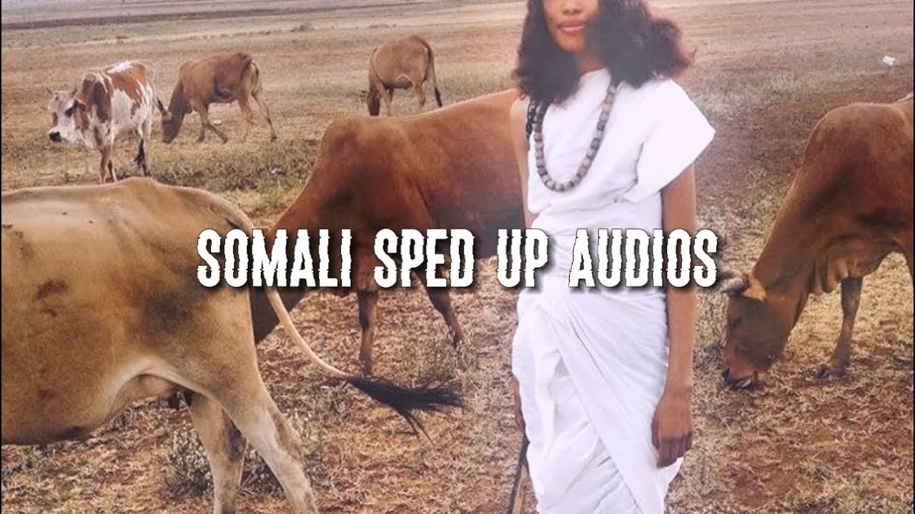 bogaygaa ku taba - ahmed budul [sped up]