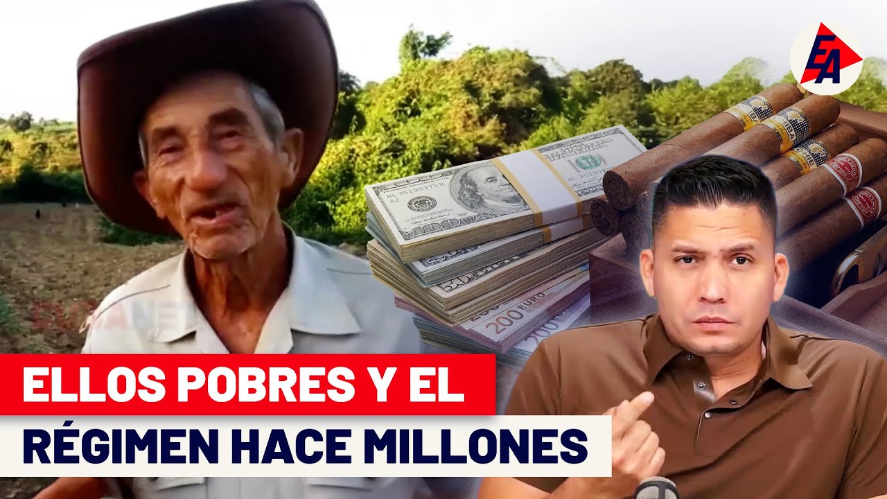INSÓLITO | Dueños del HABANO viven en MISERIA TOTAL 🫣😱