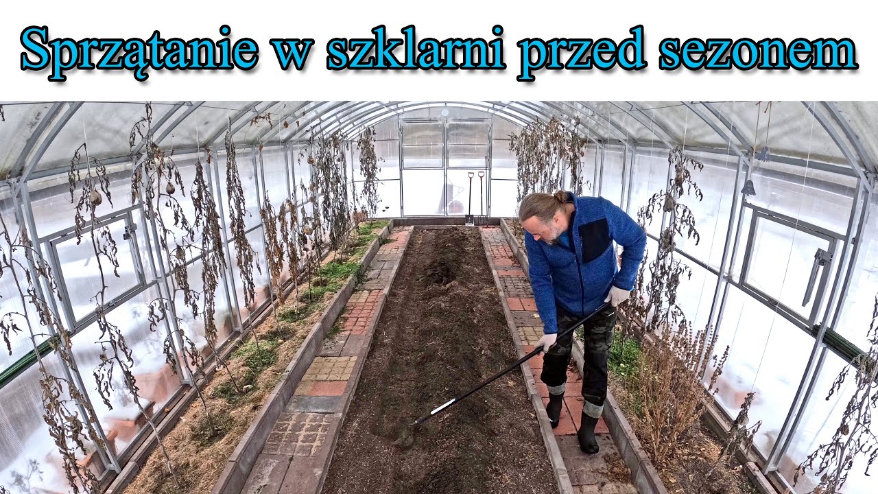 Sprzątanie w szklarni przed sezonem
