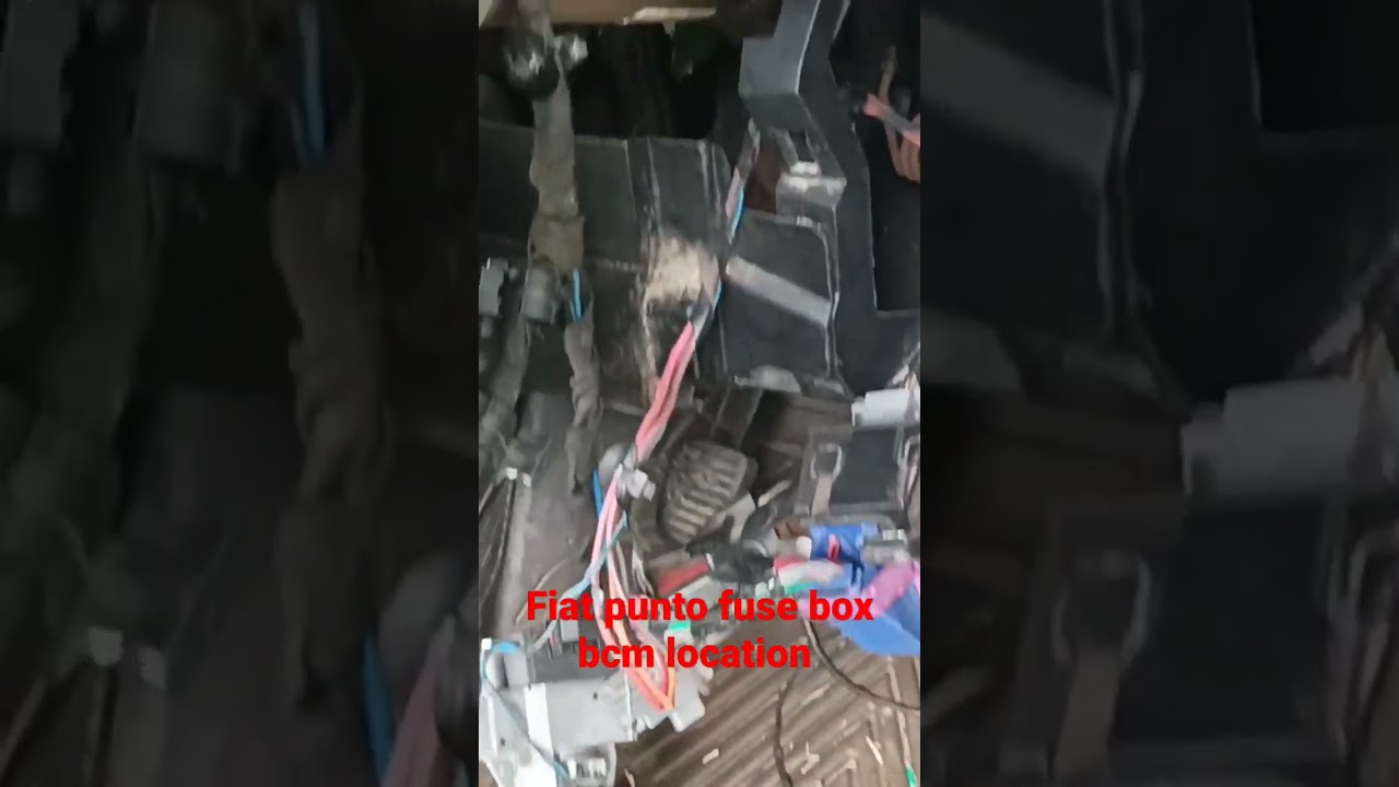 fiat punto fuse box bcm location