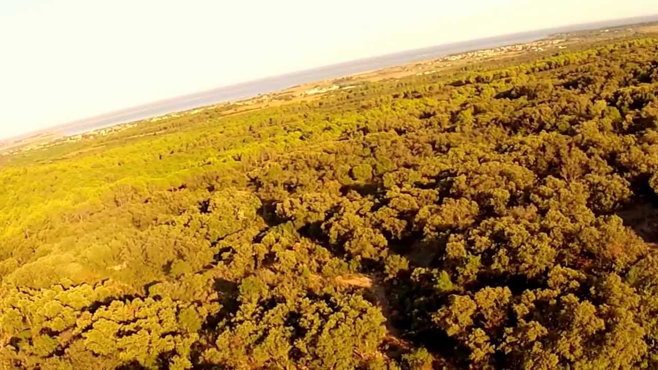 Drone. For&ecirc;t Domaniale de la Gardiole. Fabr&egrave;gues