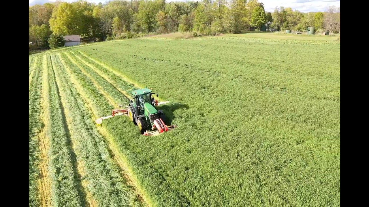 john deere 7310R mowing triticale with pottinger triple mower