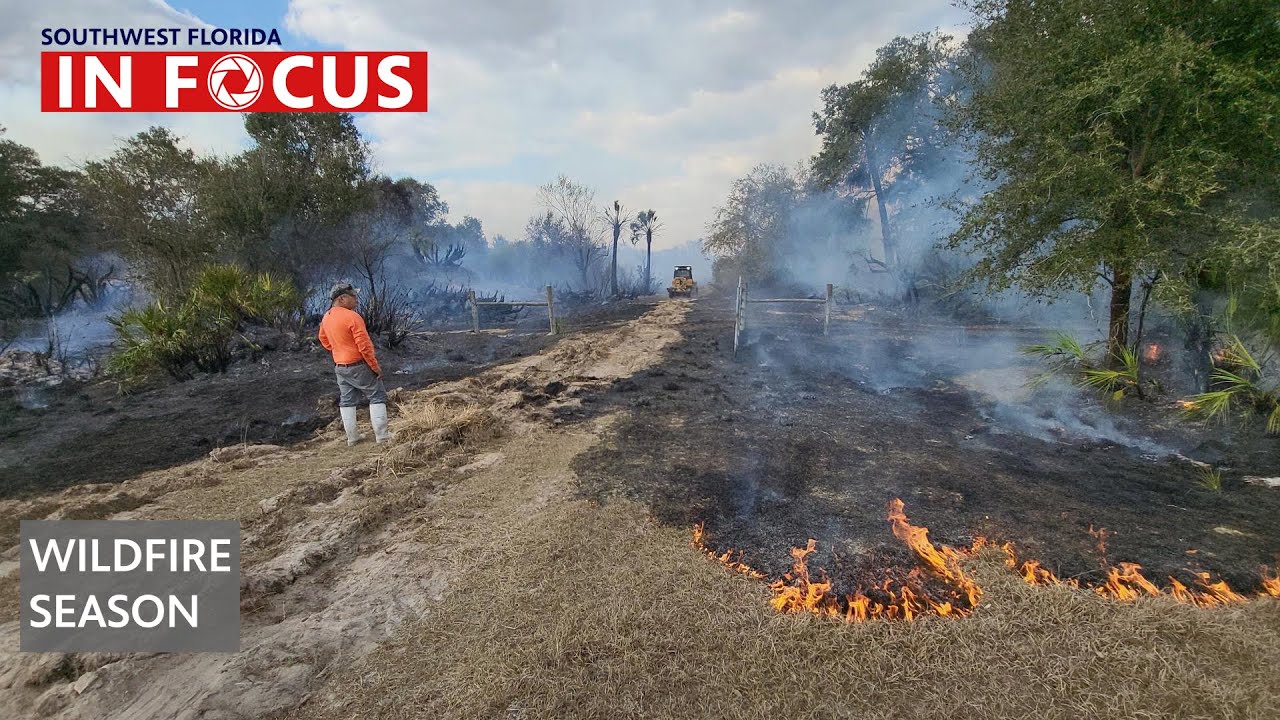 Florida’s Perfect Storm for Dangerous Wildfire Season