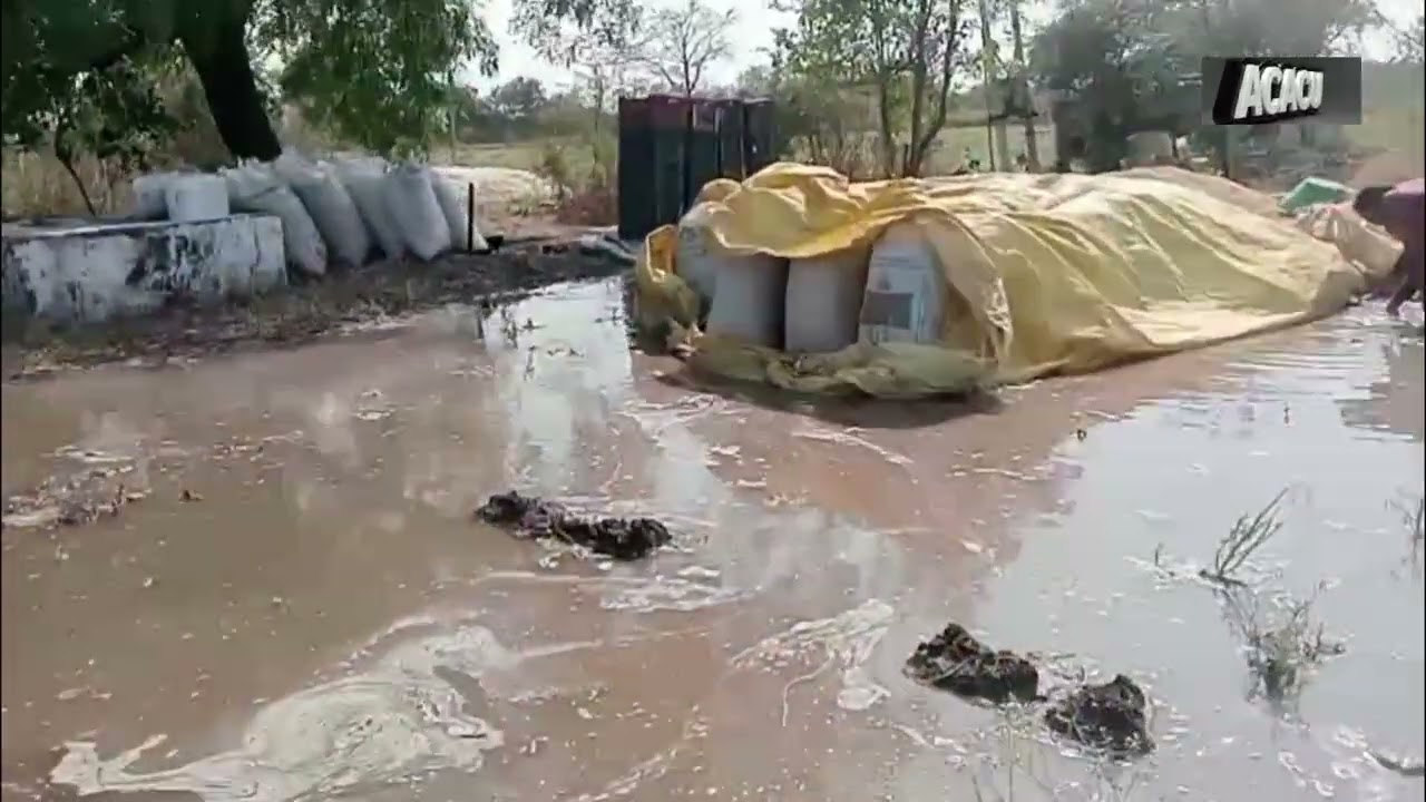 खंडवा में सिंचाई योजना की लापरवाही! 70 क्विंटल गेहूं-40 क्विंटल चना पानी में डूबा