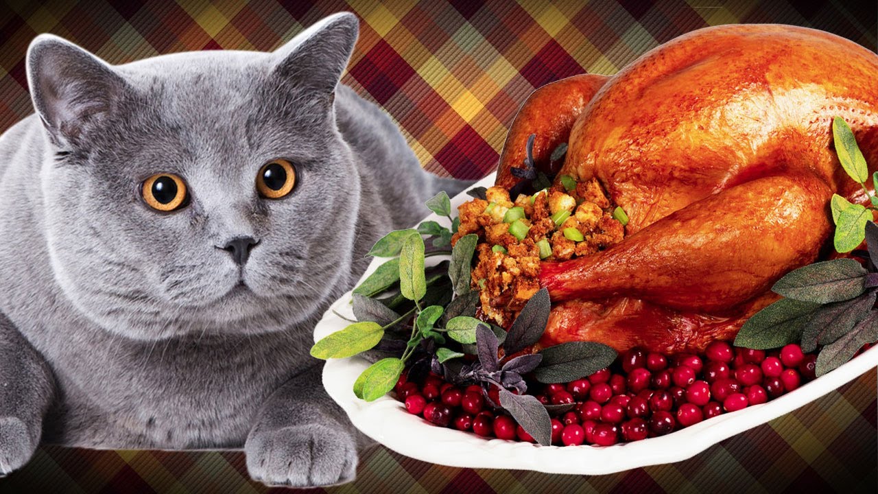 Creating Mods with Thanksgiving Leftovers