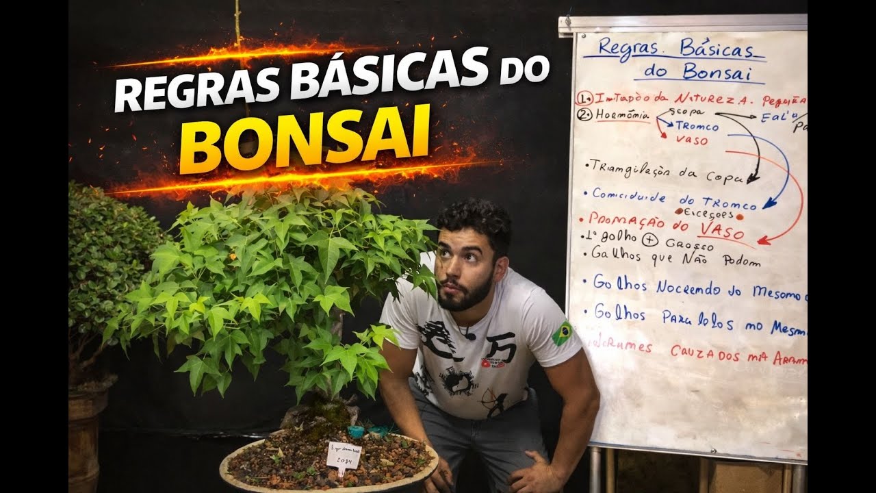 🌱 REGRAS BÁSICAS do BONSAI – VOCÊ PRECISA SABER! 🌞 | GUIA PARA INICIANTES #Bonsai