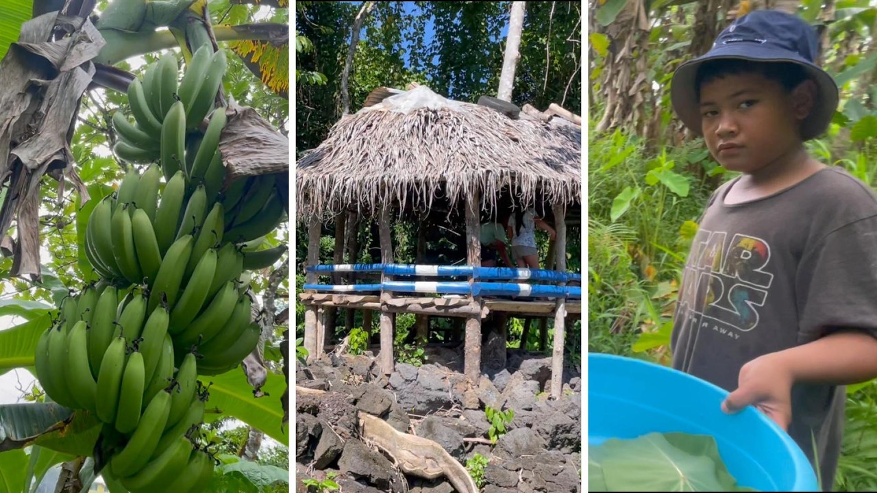 Saturday, 21 Mati 2026 VLOG | Savai'i SAMOA : HOME & TRAVEL