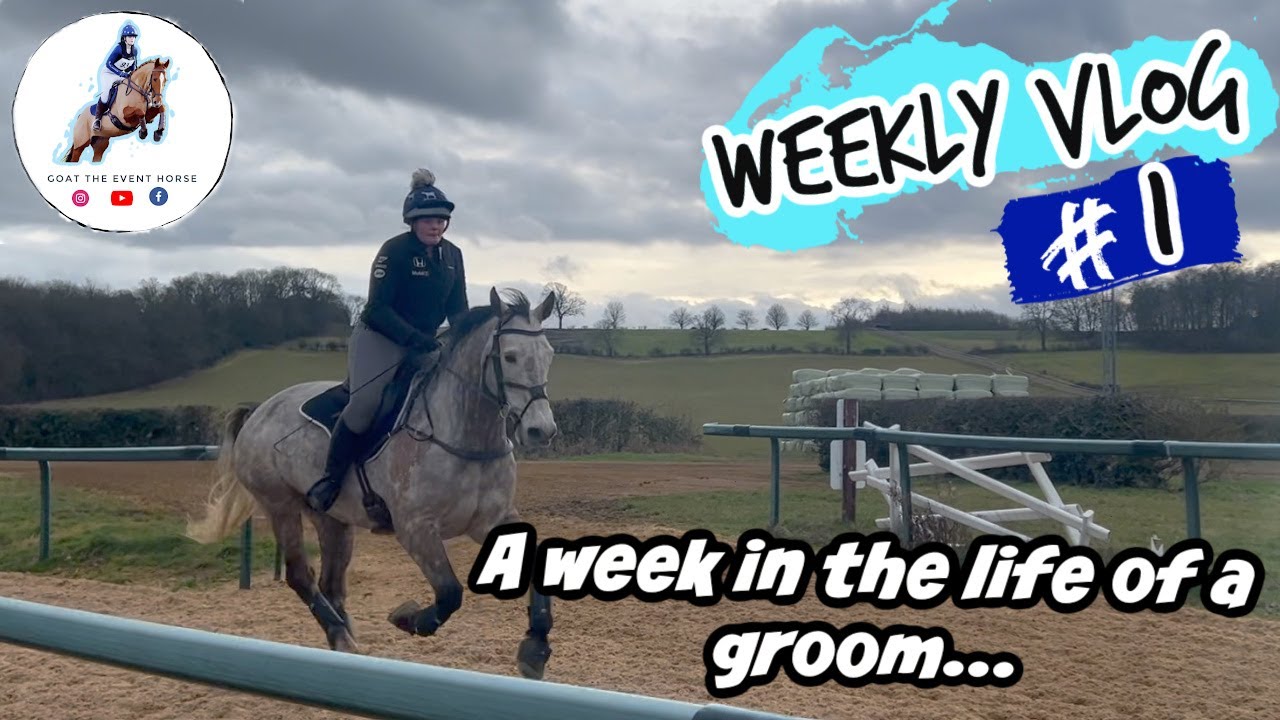 A WEEK IN THE LIFE OF A GROOM | WEEKLY VLOG #1 | GOAT THE EVENT HORSE