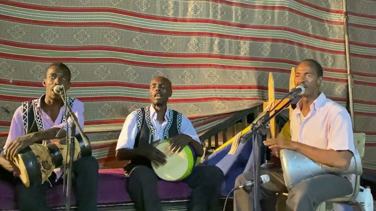 اغنية🎤 محلي 🇩🇿يا لي قلبك 🎻🪕🎸مع شيخ الحمدو في ولاية 🌿تيميمون ديما رشوق 🎉ًورشوق ورشوق😘😘😘😘