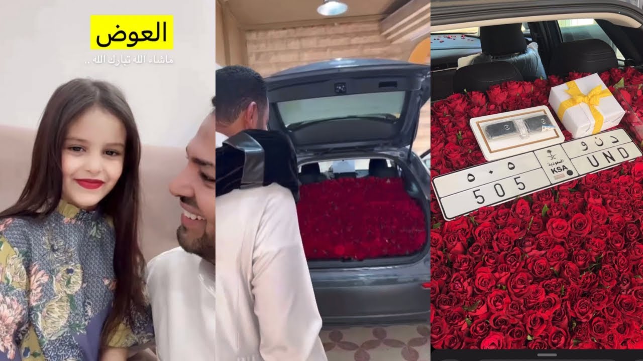 ابو دانه|| هديته لسجى بعد التوثيق حروف اللوحه❤️‍🔥