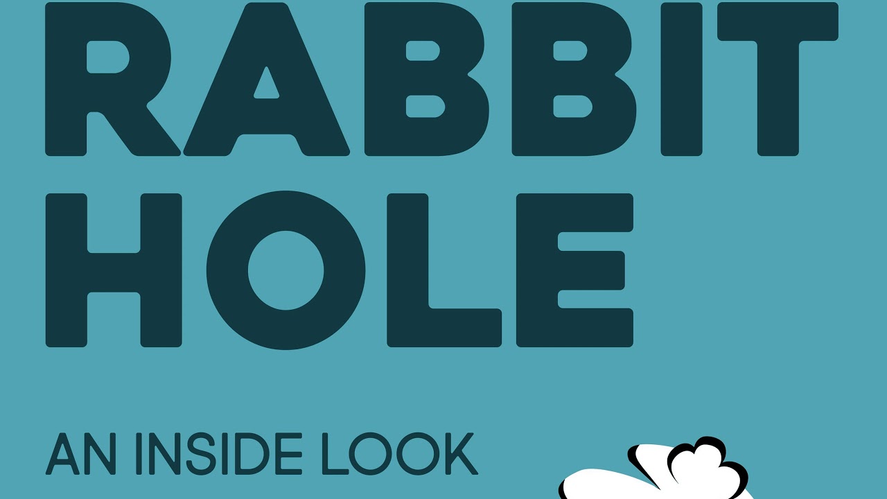 Bonus: COVID-19 hideout in the rabbit hole