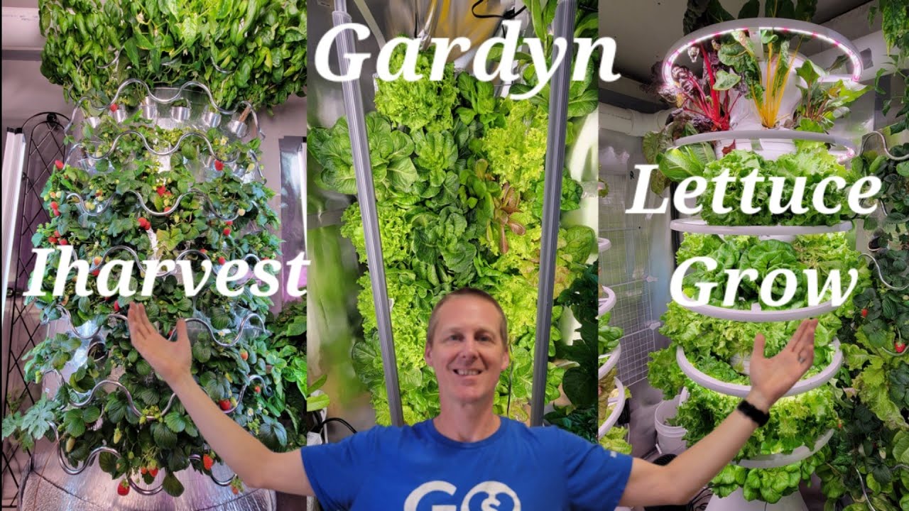 Gardyn vs. Iharvest vs. Lettuce Grow Farmstand - Which Grows the best Plants?