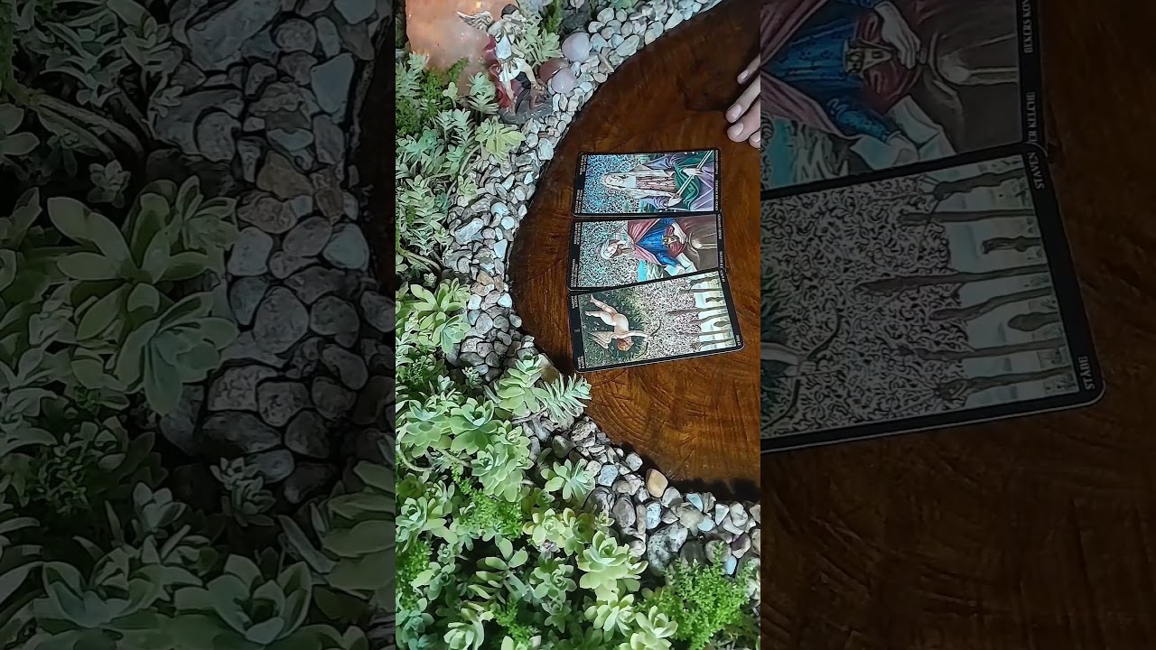 Tarot colectivo #tarot #tarotcolectivo #shortstarot