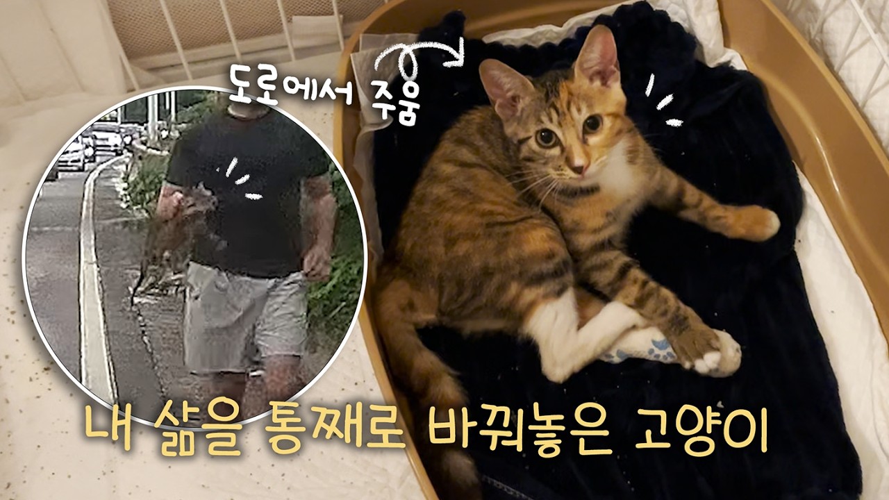 도로에서 로또를 맞은 후 2년이 지났다.  ( 로또 풀 스토리 )