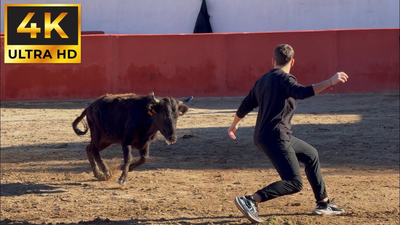¡Capea divertida en la Espuela! (Alcora - 2026)