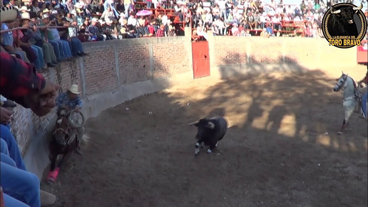 LAS CRUCES, SALVATIERRA 01/FEB/2026 JARIPEO VOL 18