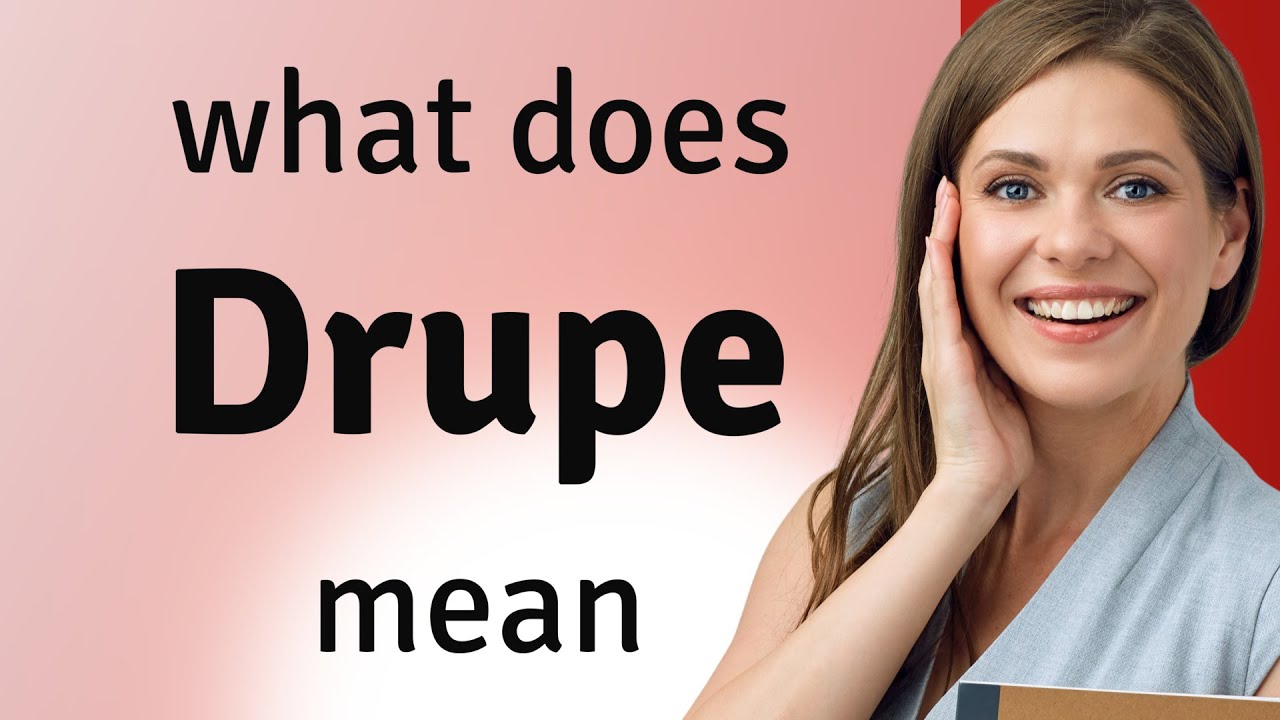 Drupe | what is DRUPE meaning