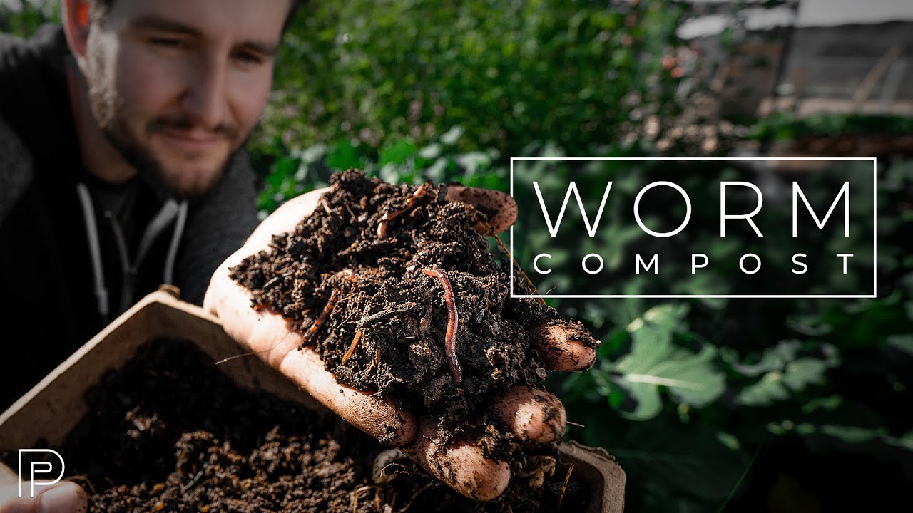Composting with Worms to Turn Garbage Into Food | PARAGRAPHIC