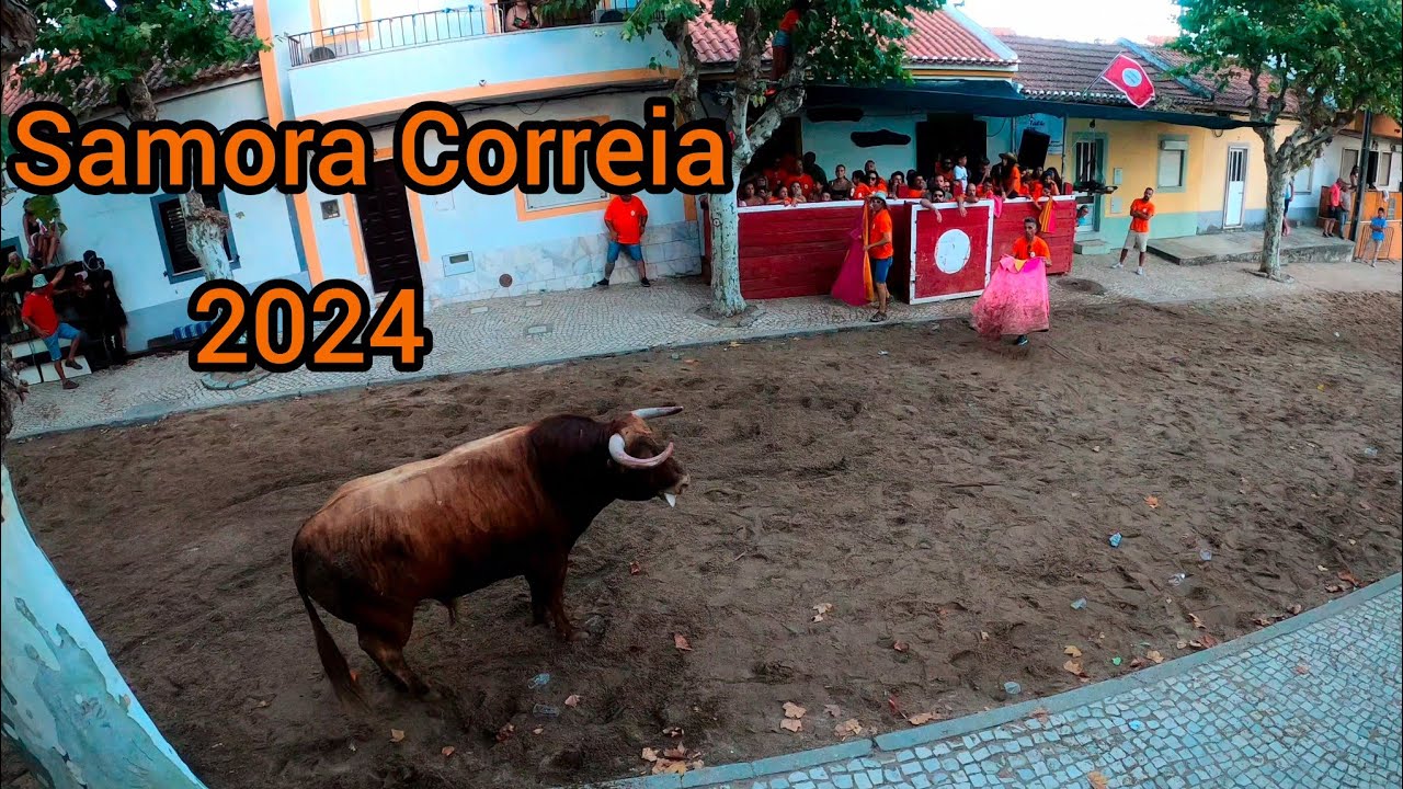 Largadas de Touro Samora Correia 2024