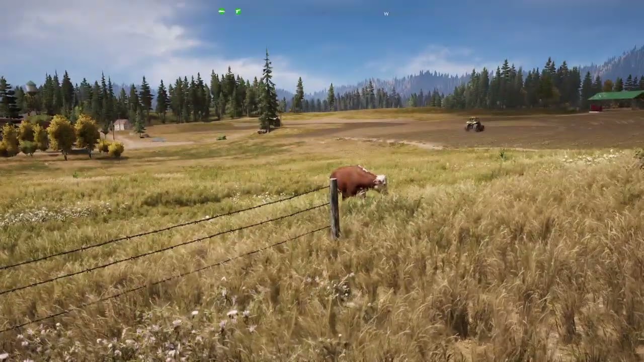 Far Cry® 5