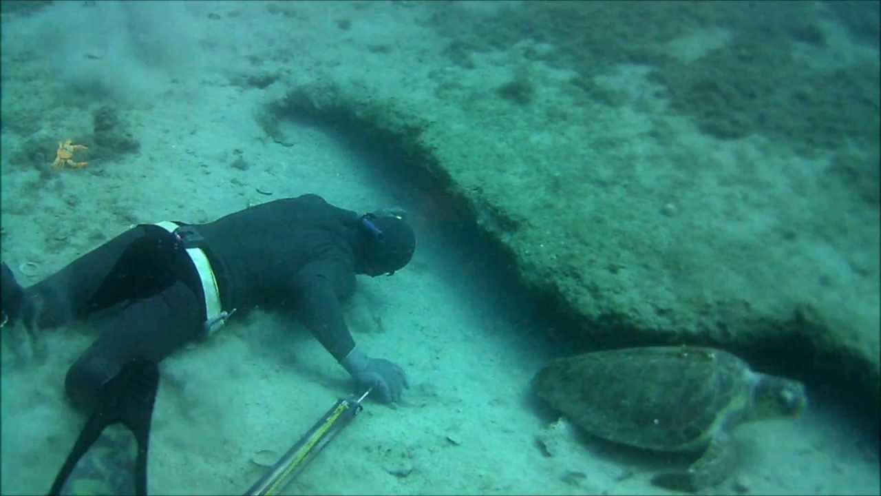 Ψαροντούφεκο - Spearfishing Σφυρίδες 2 DeepCarbon