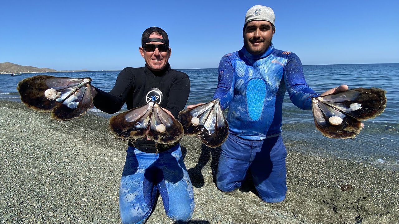 MASSIVE *SCALLOPS* in MEXICO Catch Clean and Cook BlueGabe Style