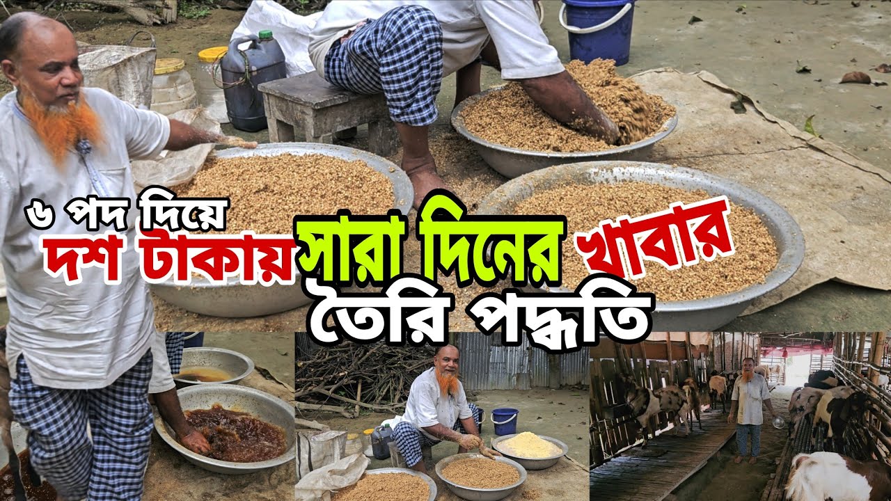 দশ টাকায় ছাগলের সারা দিনের পুষ্টিকর খাবার | তৈরি পদ্ধতি | Agro Dream Bangla 