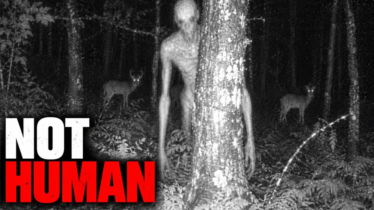 Mysterious Things Caught on Camera in the Appalachian Mountains