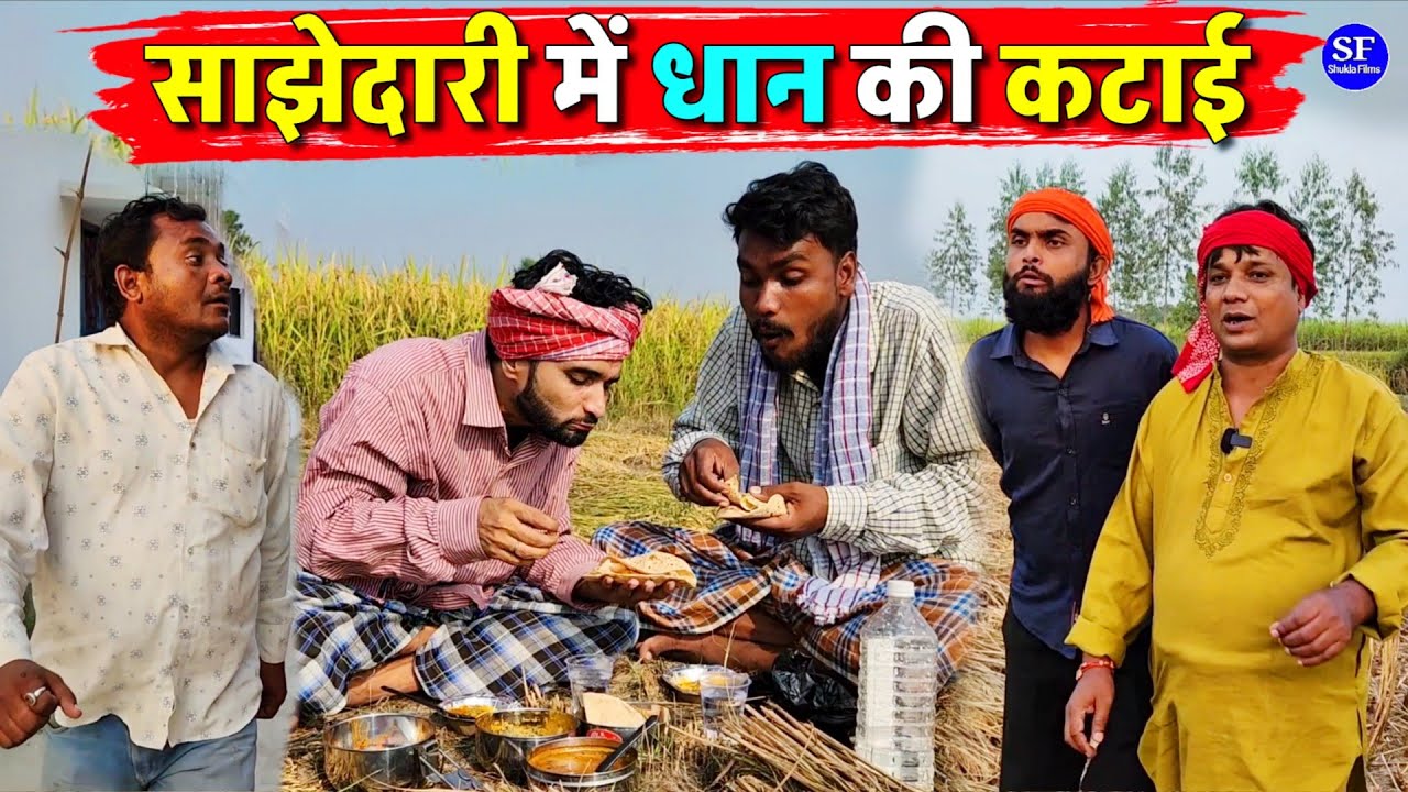 साझेदारी में धान की कटाई || Kishori Kallu Dhelai Pandit Kaka|| Sajhedari Main Dhan ki Katai