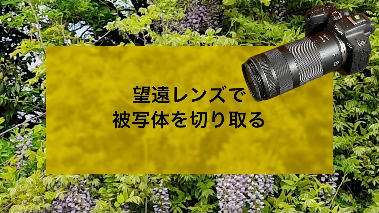No.192：望遠レンズで被写体を切り取る〜Canon EOS R7 + Canon RF100-400mm F5.6-8 IS USM