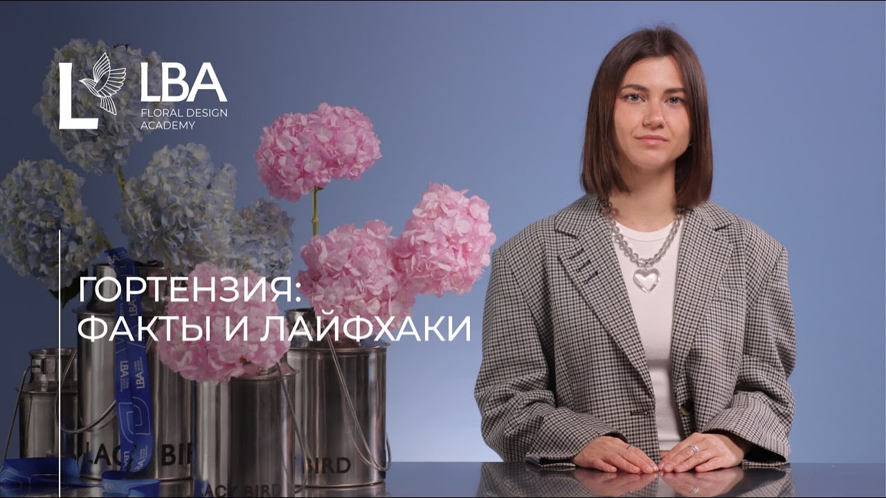 КАК ФЛОРИСТУ УХАЖИВАТЬ ЗА ГОРТЕНЗИЕЙ | СОВЕТЫ LBA
