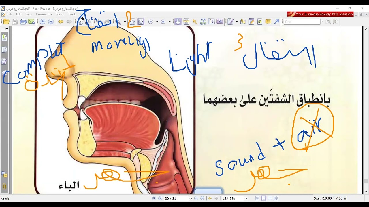 شرح مخرج  الباء