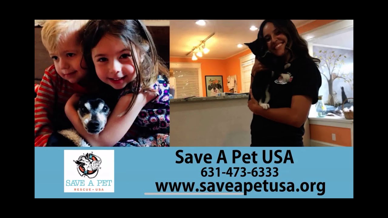 Our Mission at Save-a-Pet!