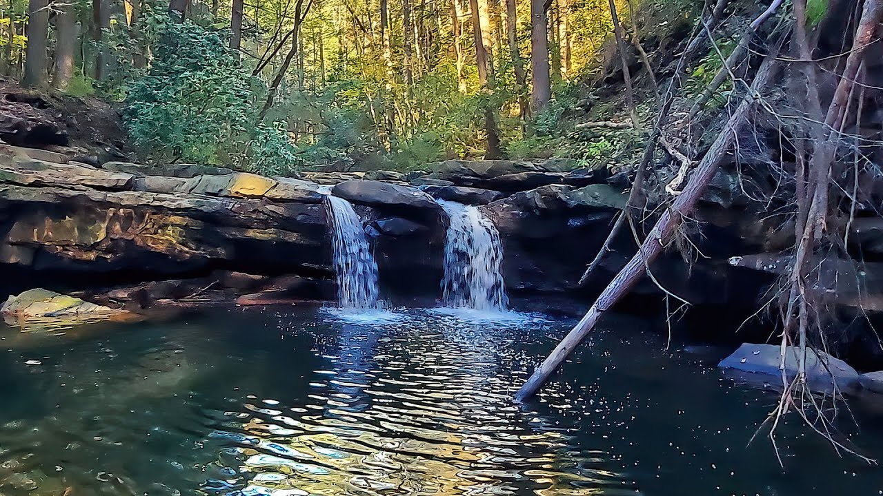2025-10-20 Grundy Forest Day Loop