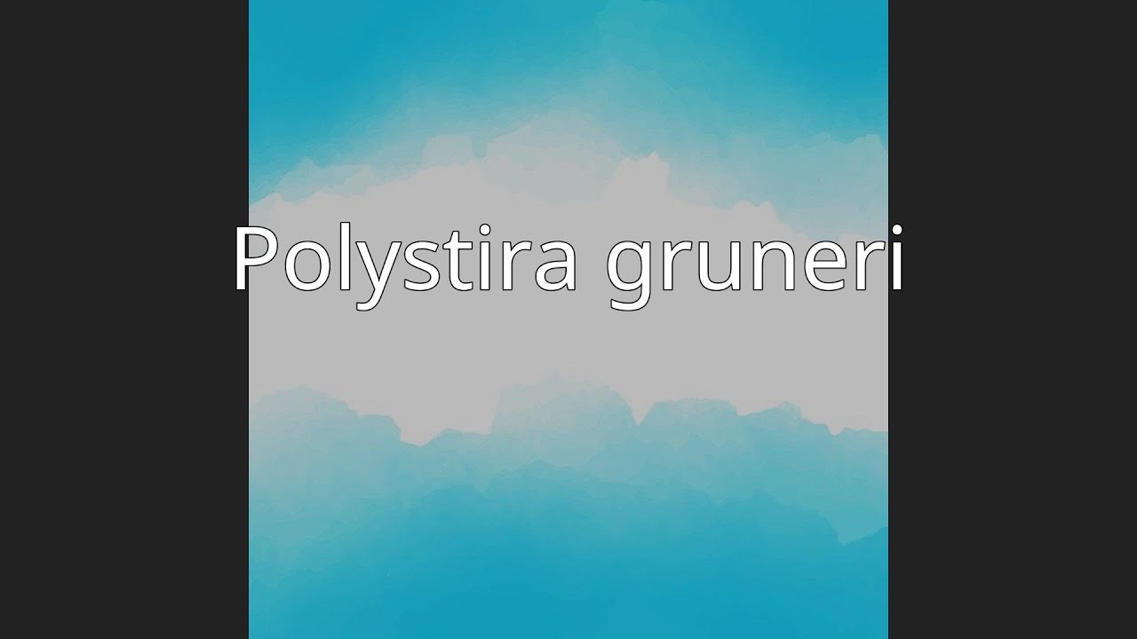 Polystira gruneri