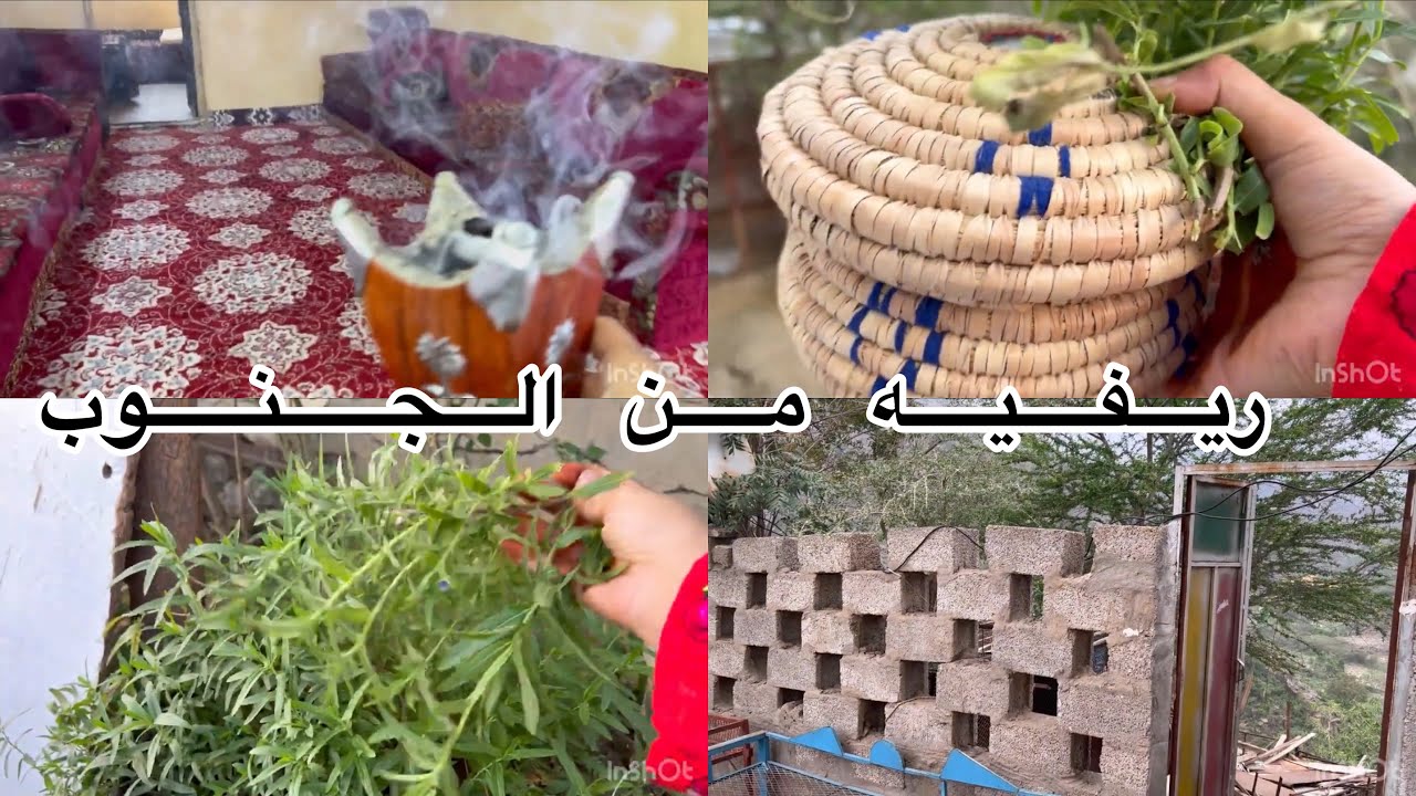 فديو كله عفويه وبساطه ريفيه من الجنوب 🦋جاوبت على اسائلتكم 🦋كم عمري وايش واجهة فقناتي وكم ارباحي من