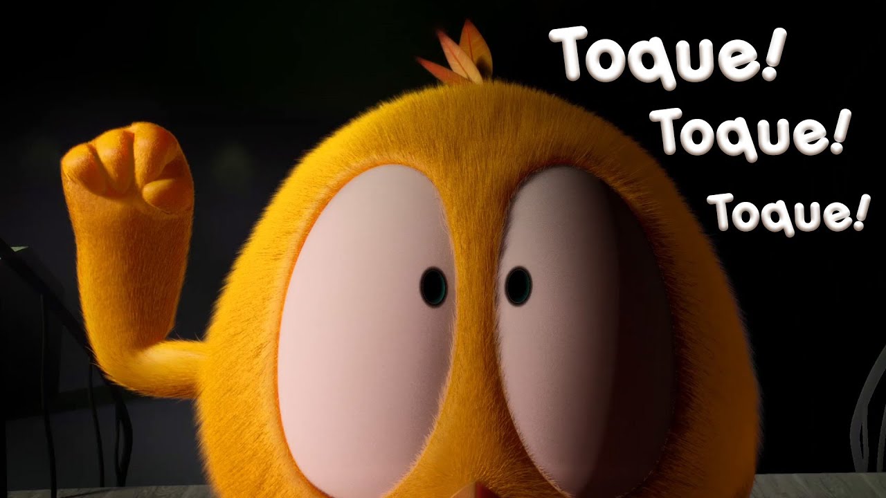 Toque toque toque! | Onde está Chicky? | Pintinha amarelinho | Coleção desenhos animados Infantil