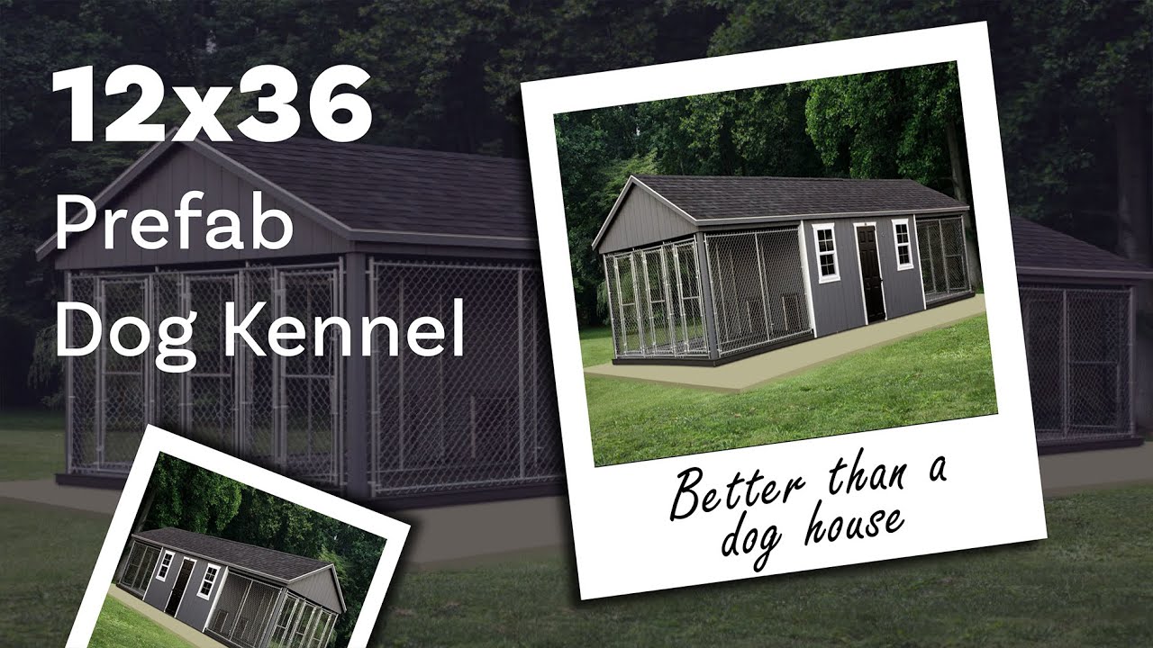 12x36 Prefab Dog Kennel - Better Than a Dog House
