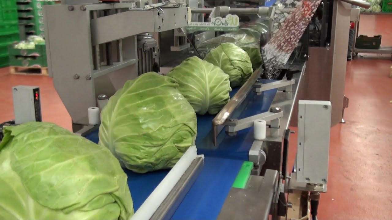 GAMACO - flow pack per prodotto con vaschette e senza vaschette/flowpack with tray and without tray.